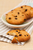 Biscuit Compound Enzyme